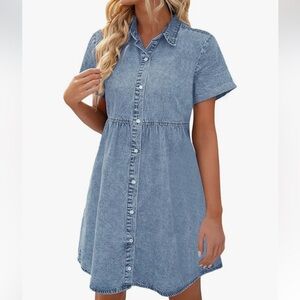 Amazon Denim Dress